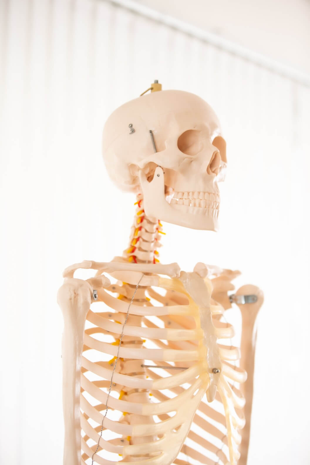 Online-bone