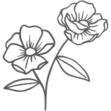 flower1